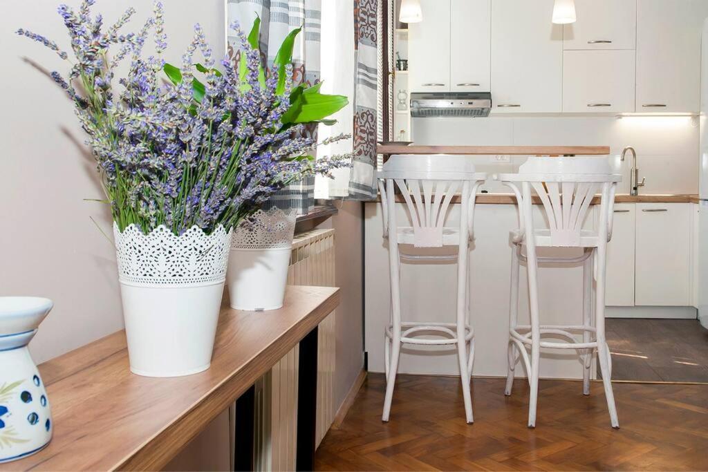 Apartment Pataky Zagreb Eksteriør billede